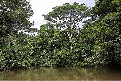 《Skin Deep》5月登陆Steam 沉浸式第一人称射击